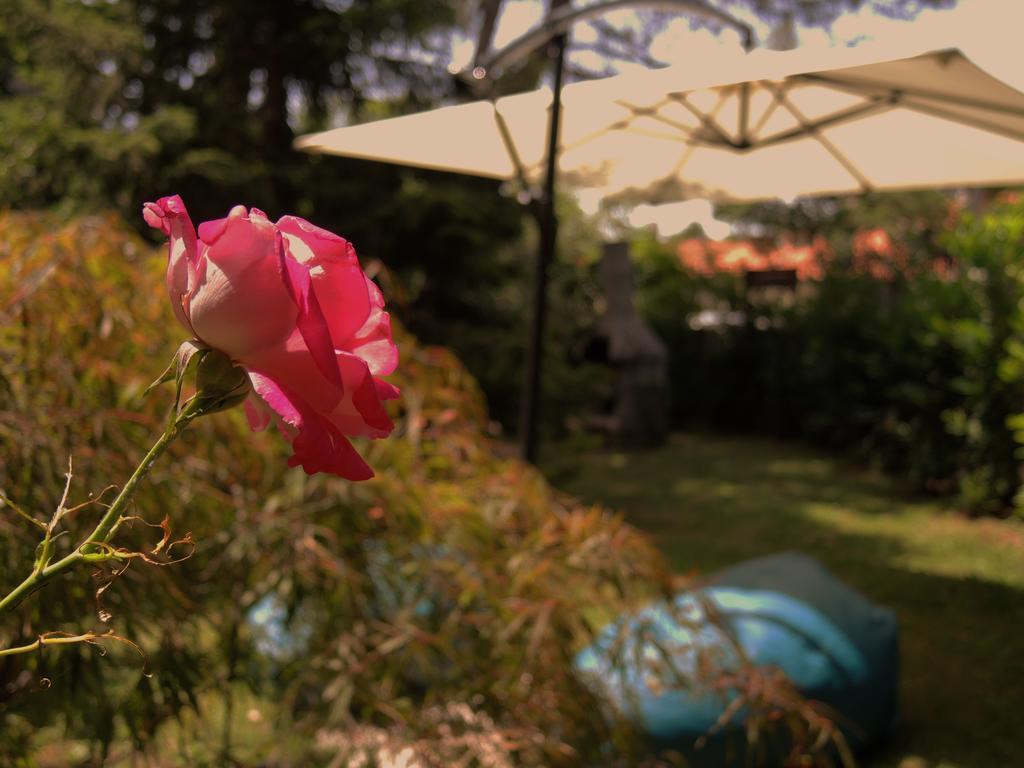 B&B Porto Del Bivio 두이노 외부 사진